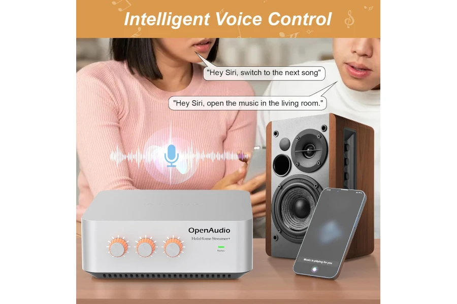 HoloHome Streamer+: Multi-Room Streamer Amplifier | with Qobuz Connect, Airplay2, Spotify Connect, DLNA | HDMI ARC, Optical, RCA, USB - Image 3