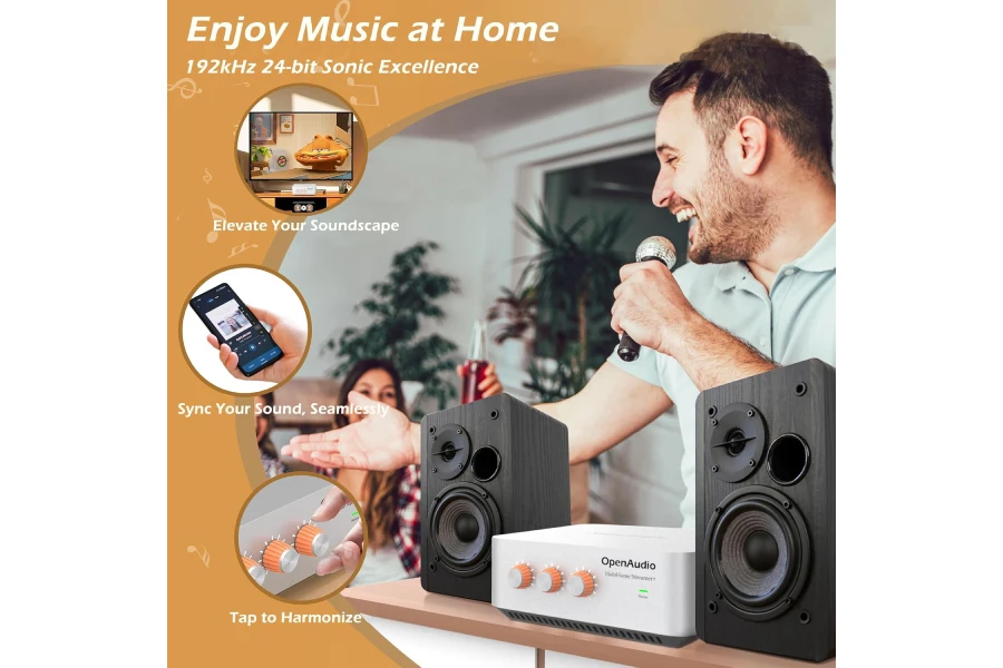 HoloHome Streamer+: Multi-Room Streamer Amplifier | with Qobuz Connect, Airplay2, Spotify Connect, DLNA | HDMI ARC, Optical, RCA, USB - Image 5