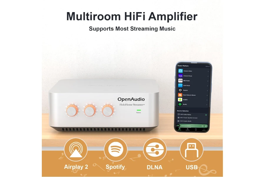 HoloHome Streamer+: Multi-Room Streamer Amplifier | with Qobuz Connect, Airplay2, Spotify Connect, DLNA | HDMI ARC, Optical, RCA, USB - Image 6