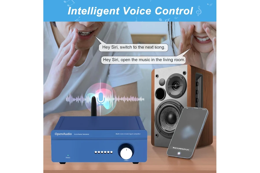 HoloHome Streamer: Multi-Room Streamer | with Qobuz Connect, Airplay2, Spotify Connect, DLNA | HDMI ARC, Optical, Coax, RCA, USB - Image 3