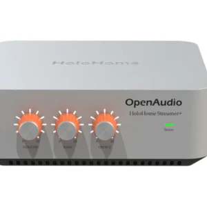HoloHome Streamer+ Multi-room Streaming Amplifier