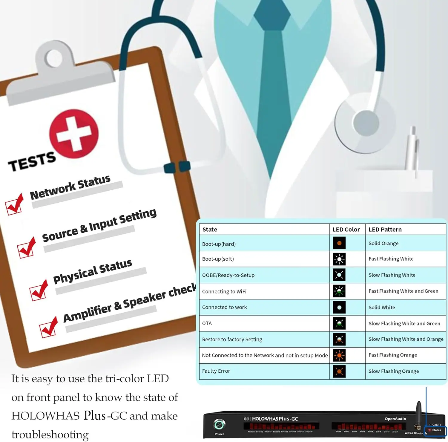 HOLOWAHS Plus GC Multiroom Streaming Amplifier 6