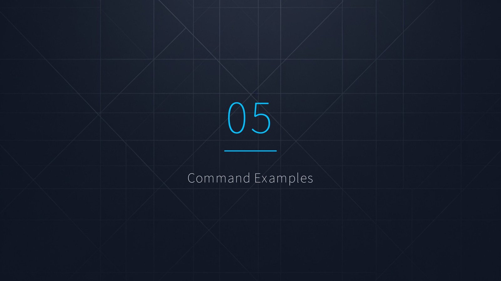 05. Command Examples 05. Command Examples